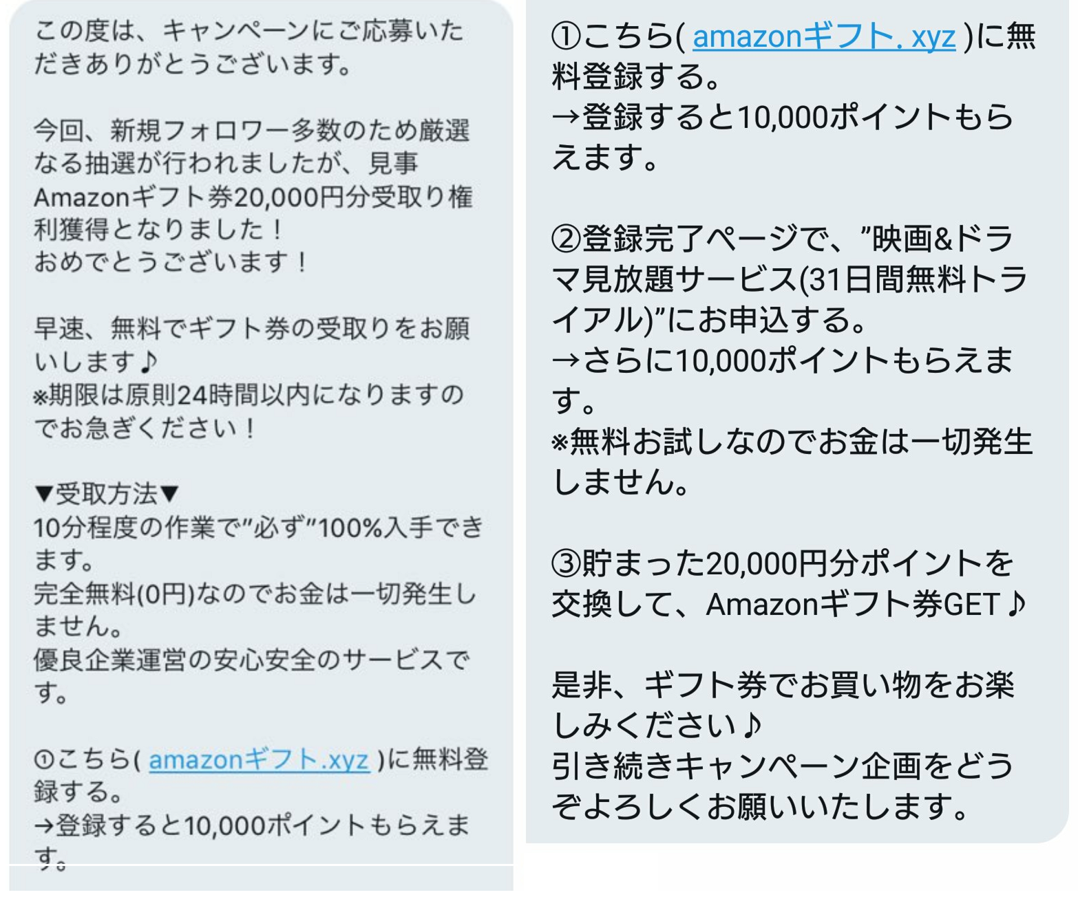 アボカド Amazonギフト 000円の実態は Twitter利用者注意 日本ポイントサイト情報 Pointjp